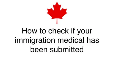 Immigration Medical Exam Auckland: Common Tests and Requirements Explained